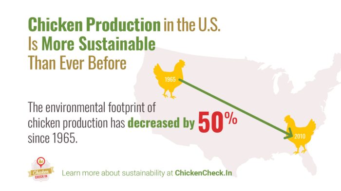 Chicken sustainability impact environmental production environment footprint