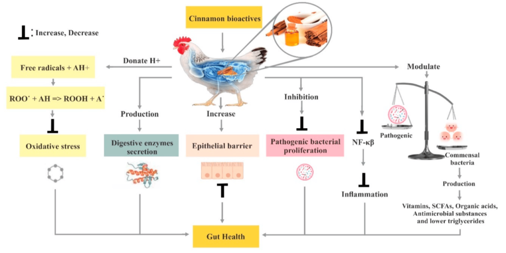 Feed poultry formulation make own hd