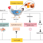 Feed poultry formulation make own hd